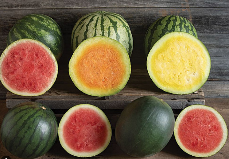 WATERMELON